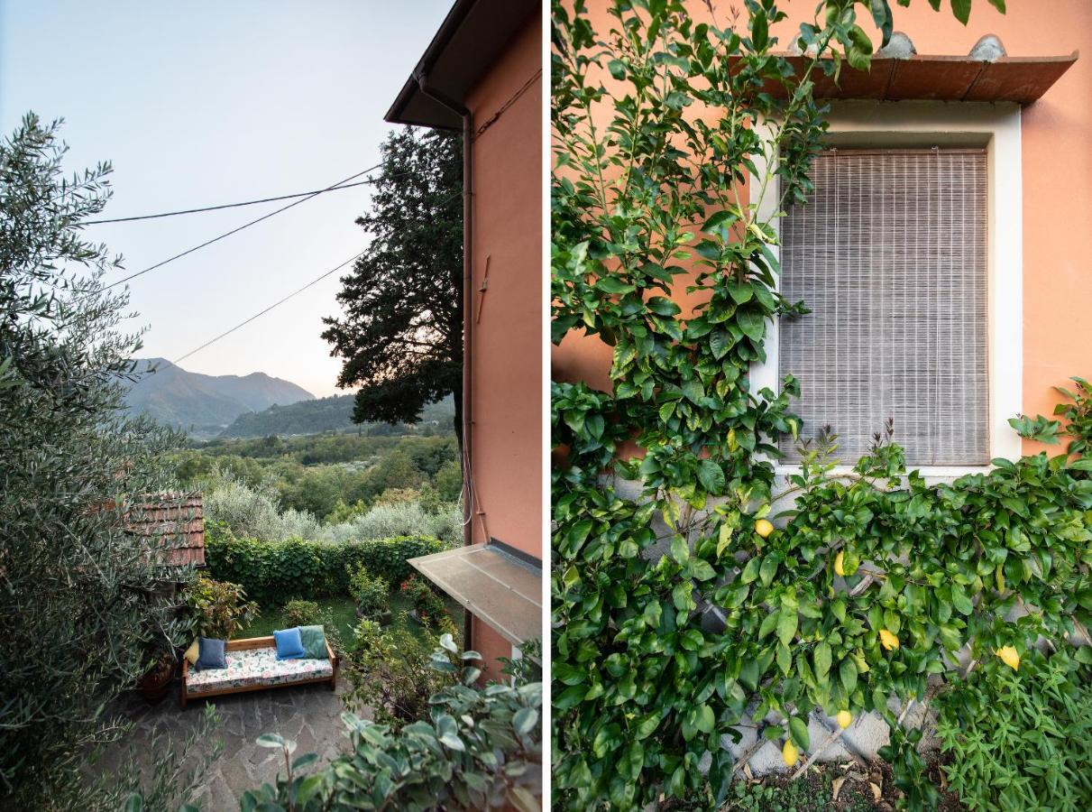 Casetta Di Butia, Mimosa Apartment ボルゴ・ア・モッツァーノ エクステリア 写真
