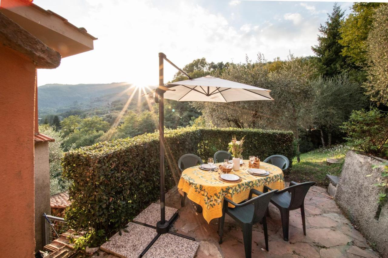 Casetta Di Butia, Mimosa Apartment ボルゴ・ア・モッツァーノ エクステリア 写真