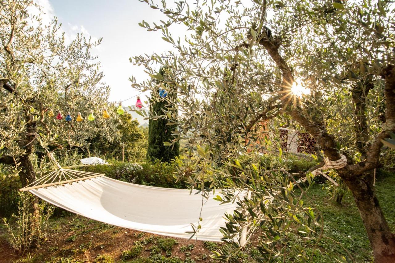 Casetta Di Butia, Mimosa Apartment ボルゴ・ア・モッツァーノ エクステリア 写真