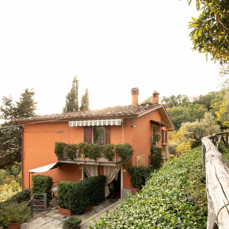Casetta Di Butia, Mimosa Apartment ボルゴ・ア・モッツァーノ エクステリア 写真