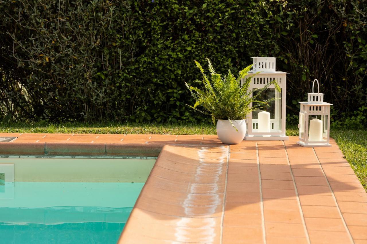 Casetta Di Butia, Mimosa Apartment ボルゴ・ア・モッツァーノ エクステリア 写真