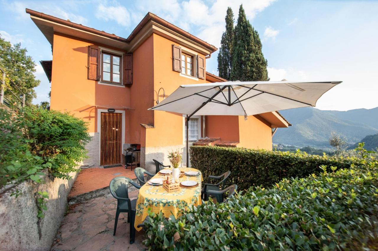 Casetta Di Butia, Mimosa Apartment ボルゴ・ア・モッツァーノ エクステリア 写真