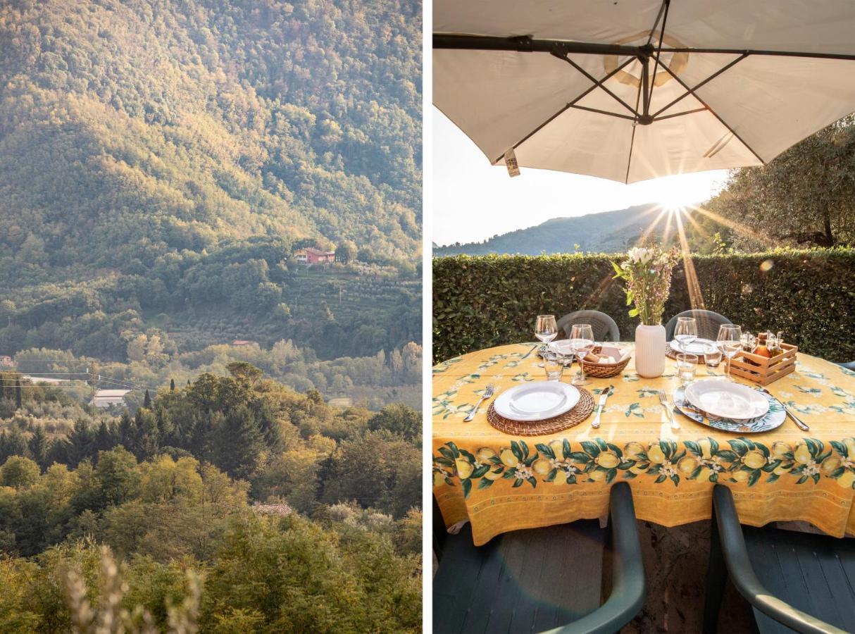 Casetta Di Butia, Mimosa Apartment ボルゴ・ア・モッツァーノ エクステリア 写真