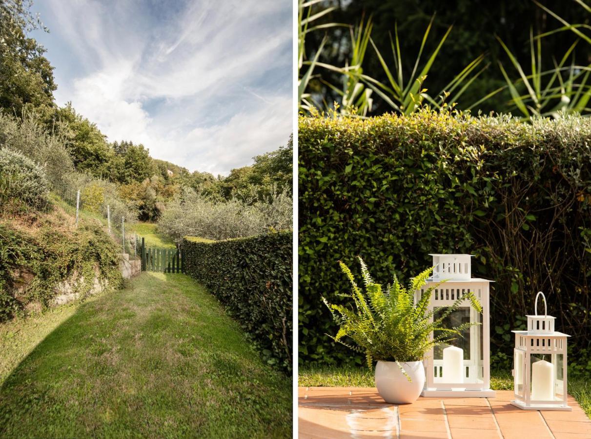 Casetta Di Butia, Mimosa Apartment ボルゴ・ア・モッツァーノ エクステリア 写真